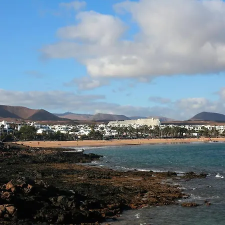 Lejlighed The Monkey House - A Jungle Of Comfort