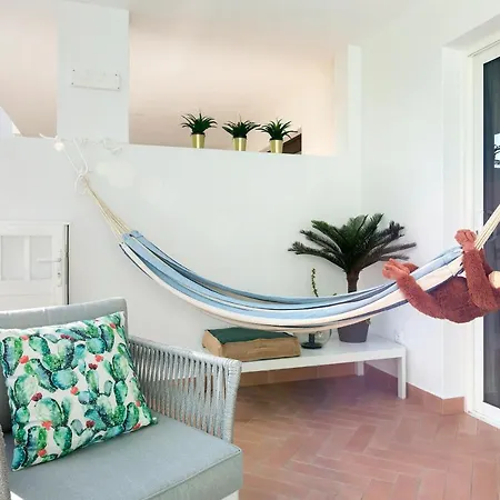 The Monkey House - A Jungle Of Comfort * Costa Teguise