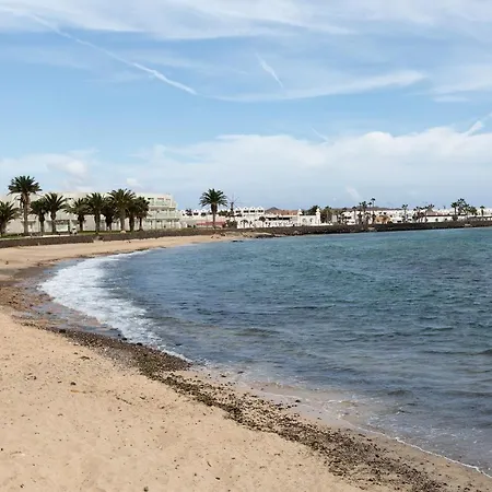 The Monkey House - A Jungle Of Comfort Costa Teguise