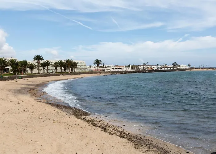 The Monkey House - A Jungle Of Comfort 코스타 테기세