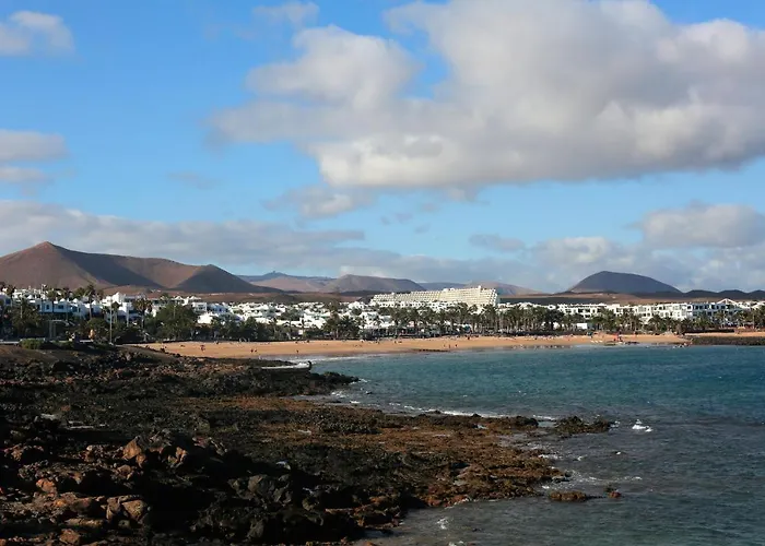 아파트 The Monkey House - A Jungle Of Comfort